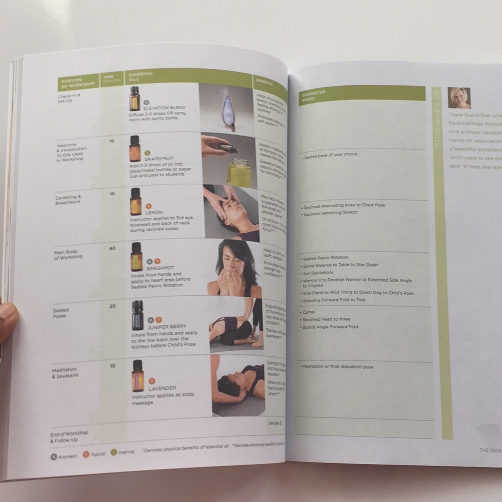 The Essential Yoga Program - Picture 5 of 8